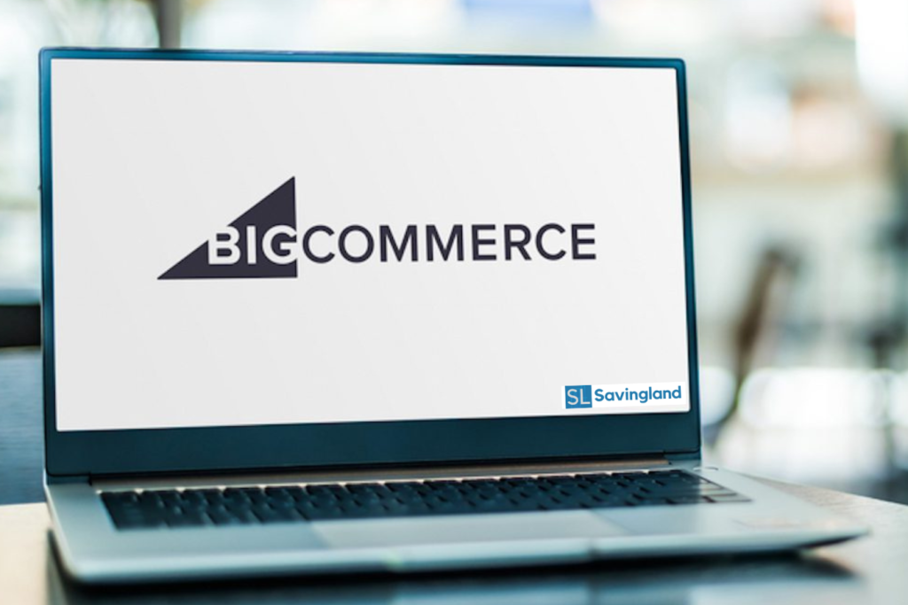BIgcommerce Web development