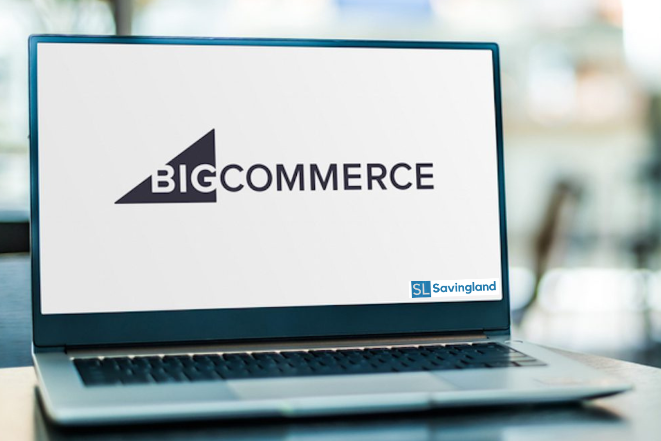 BigCommerce Store Development and Managment Service